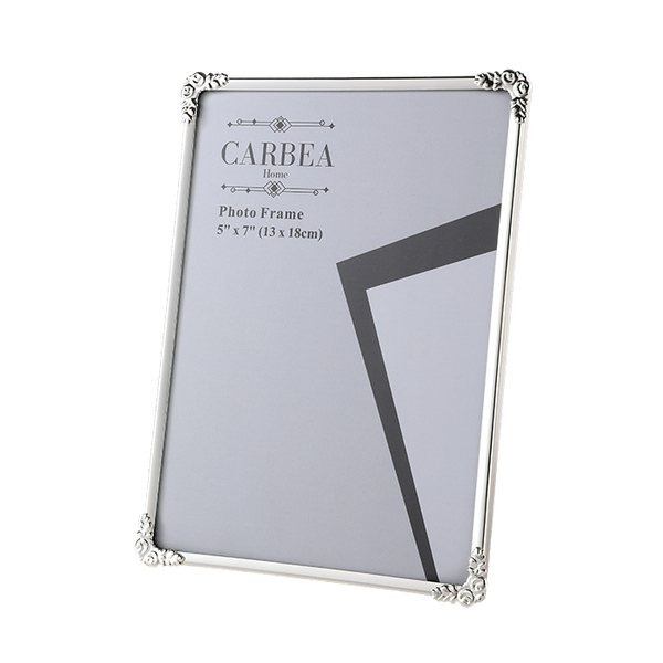 Silver Picture Frame v1 5"x 7"