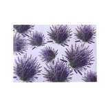 Fragrance Box of 6 Draw Liners - Lavender