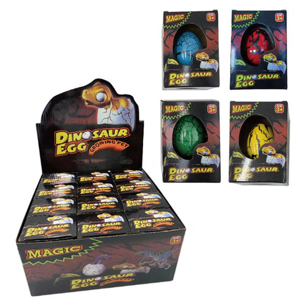 Growing Dinosaur Egg 1pc 4asst - box of 12